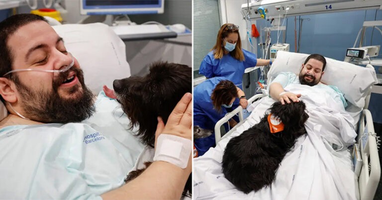 Rumah Sakit di Spanyol Merekrut Anjing Terapi untuk Meningkatkan Semangat Pasien ICU