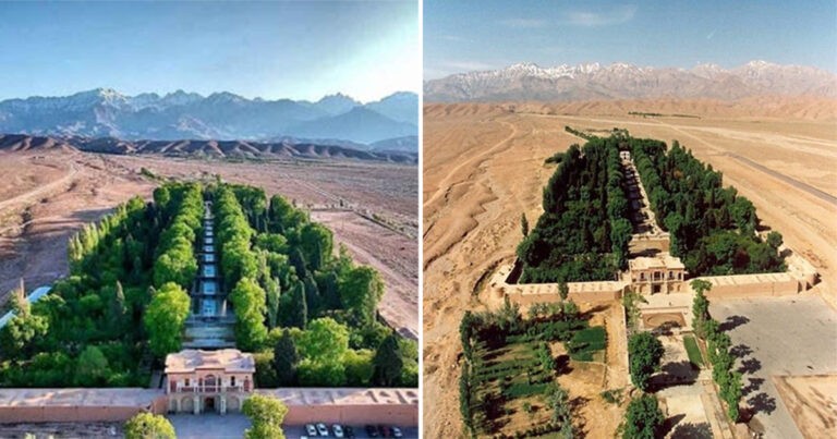 Taman Shazdeh di Iran : Oasis Hijau yang Menakjubkan di Tengah Gurun Pasir