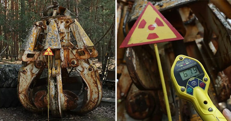 Cakar Chernobyl yang Bisa Membunuh Anda dengan Satu Sentuhan Masih Ada di Hutan 38 Tahun Setelah Bencana