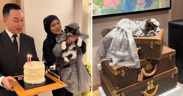 Kucing di Malaysia Mengundang Rasa Iri Setelah Merayakan Ulang Tahunnya di Toko Louis Vuitton