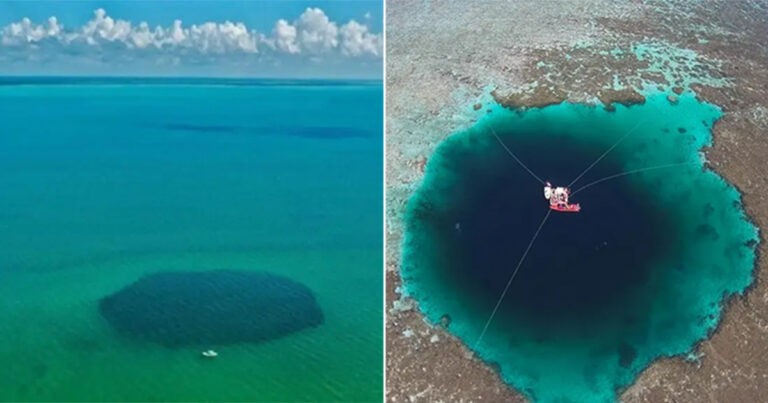 ‘Lubang Biru’ Adalah yang Terbesar yang Pernah Ditemukan dengan Kedalaman 420 Meter, dan Para Ilmuwan Belum Mencapai Dasarnya
