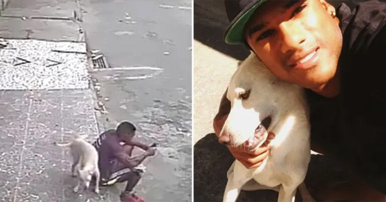 Pria Brasil Mengadopsi Anjing Liar yang Mengencingi Dirinya
