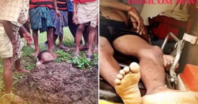 Pria yang Selamat dari Sambaran Petir Secara Tragis Mati Lemas Setelah Ditimbun Kotoran Sapi