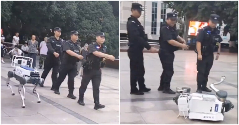 Anjing Robot Milik Polisi Khusus Tiongkok Tiba-Tiba Jatuh Sendiri Saat Berlatih Baris di Muka Umum