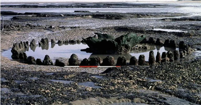 Para Ilmuwan Akhirnya Memecahkan Misteri Berusia 4.000 Tahun di Balik ‘Seahenge’