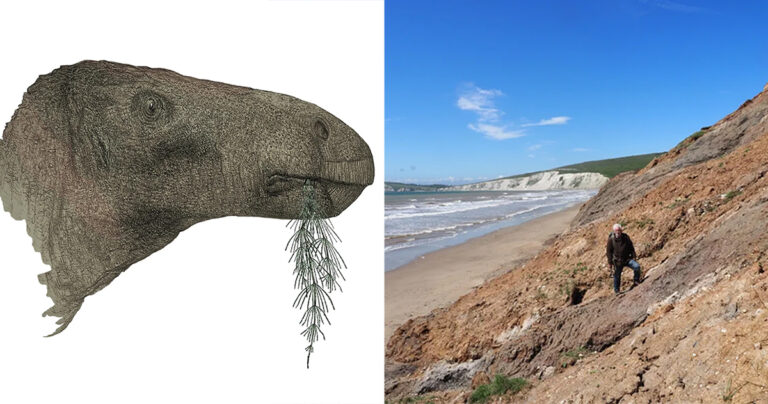 ‘Dinosaurus Terlengkap’ Ditemukan di Pulau Wight