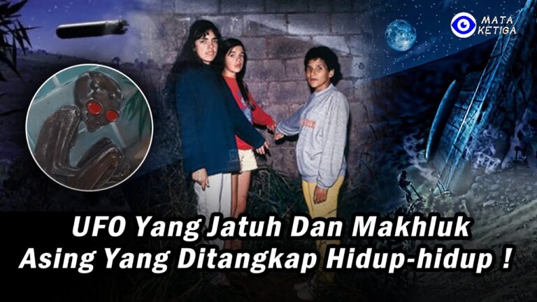{Bagian 1} Misteri Varginha: UFO yang Jatuh dan Makhluk Asing yang Ditangkap Hidup-hidup