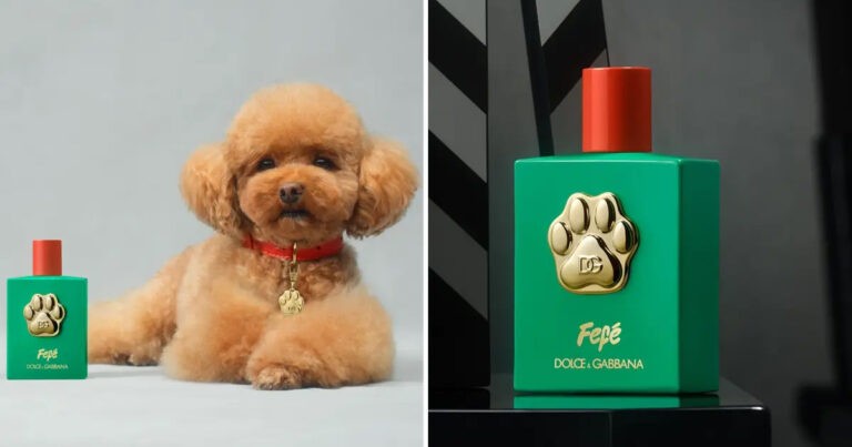 Dolce & Gabbana Luncurkan Fefé, Parfum untuk Anjing Seharga Rp 1,7 Juta