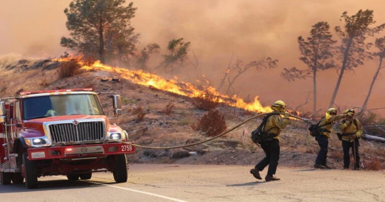 Hampir 100 Kebakaran Hutan Melanda di Amerika Serikat, Area Terdampak 2 Juta Hektar 