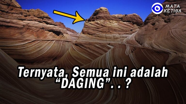 Ternyata,… Semua ini adalah “DAGING”. . .?