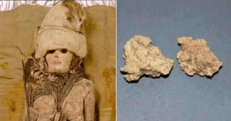 DNA dari Keju Tertua di Dunia Diekstrak dari Sumber yang Tidak Biasa — Mumi