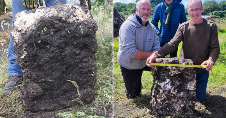 Petani Irlandia Menemukan Bongkahan Mentega Rawa Berusia Berabad-abad Seberat Hampur 23 Kilogram