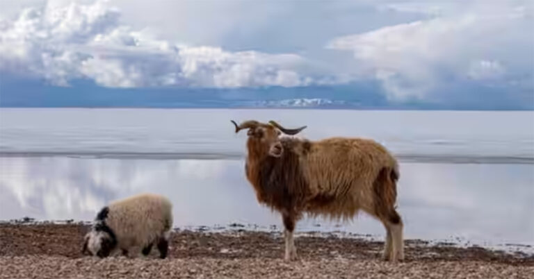 Setelah Terpisah Lebih dari 4.000 tahun, Danau Terbesar di Tibet Meluap ke Danau di Dekatnya, Inilah Alasannya