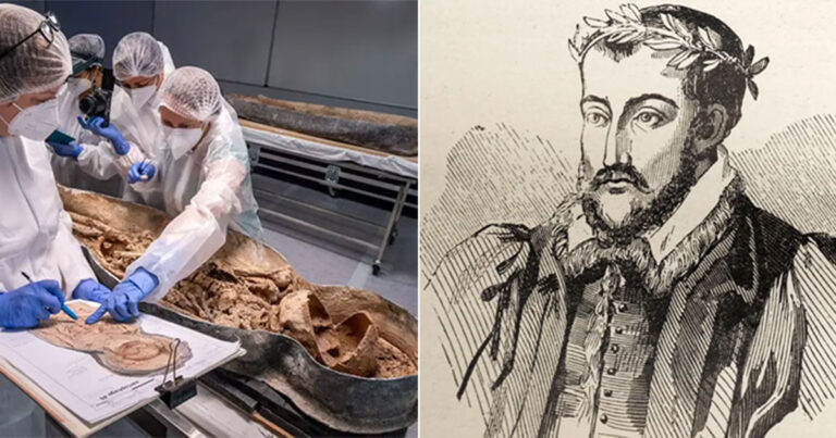 Sisa-sisa yang Ditemukan di Bawah Katedral Notre Dame Setelah Kebakaran Hebat Kemungkinan Milik Penyair Renaisans Joachim du Bellay, yang Meninggal pada Tahun 1560