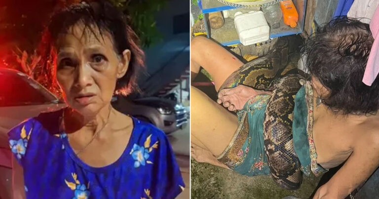 Wanita Berusia 64 Tahun Diselamatkan Setelah Hampir Dimangsa Ular Piton Sepanjang Empat Meter