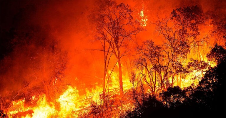 Wanita Menyulut Kebakaran Hutan untuk Menggoda Petugas Pemadam Kebakaran