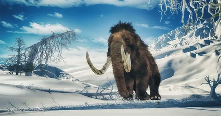 Apakah Mamut Berbulu Punah Karena Hidungnya yang Tersumbat? Penelitian Mengatakan Demikian