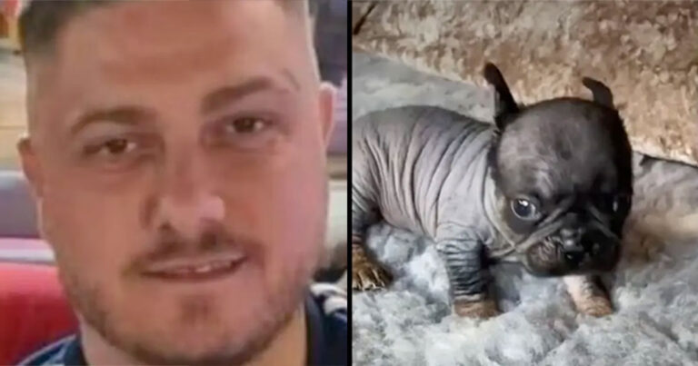 ‘Dr. DNA’ yang Gila Berbangga Diri dengan Ciptaan Ras Anjing ‘Desainer’ Baru yang Rencananya Akan Dijual ke Seluruh Dunia