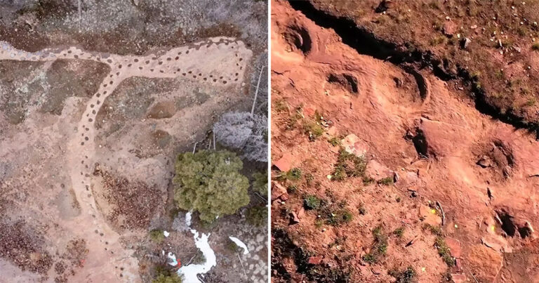 Rekaman Drone yang Menakjubkan Menunjukkan Jejak Dinosaurus Terpanjang di Dunia dari 150.000.000 Tahun yang Lalu