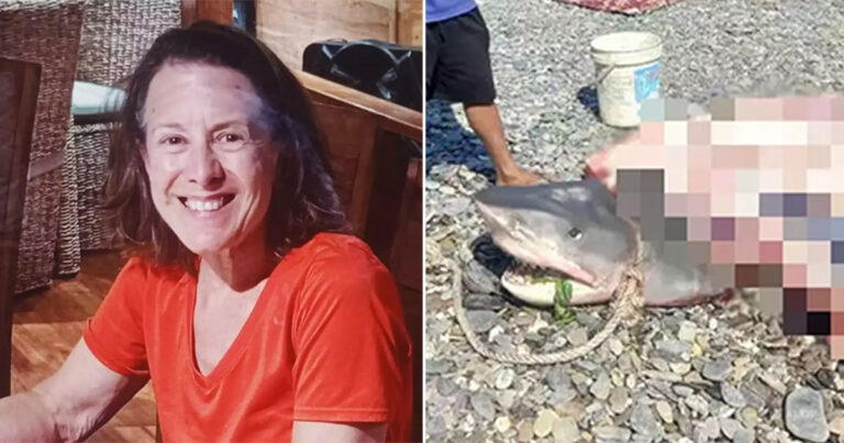Wanita yang Tersapu ke Laut Saat Liburan Menyelam Impiannya Ditemukan di Perut Hiau