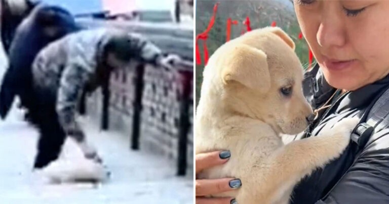 Anak Anjing yang Disiksa di Kuil di Tiongkok Memicu Kemarahan