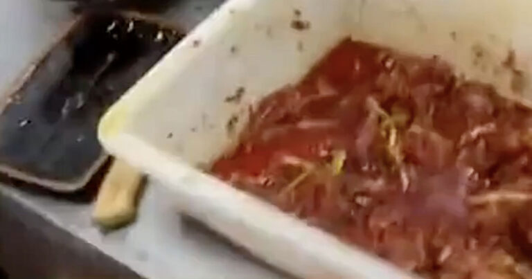 Mantan Karyawan Ungkap Restoran Hot Pot di Ningbo, Tiongkok Gunakan “Daging Zombie” untuk Bakso Sapi, Pelanggan Terkena Diare