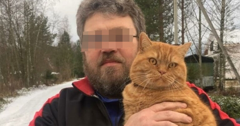 Pria di Rusia Meninggal Karena Pendarahan Setelah Dicakar Kucing Peliharaannya