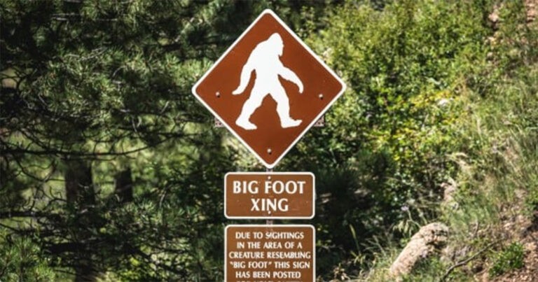 Bigfoot Kerap Terlihat di Area Ini, dan Mengejar 30 Rusa di Hutan