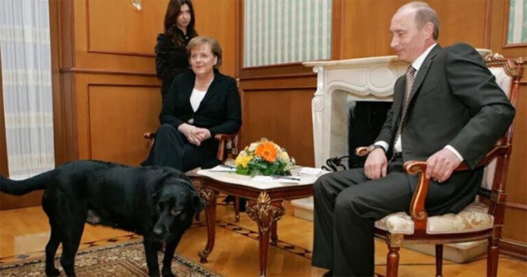 Merkel Tolak Permintaan Maaf Putin