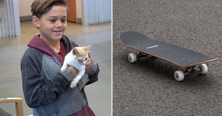 Pahlawan Berusia 8 Tahun Ini Tukar Papan Skateboard demi Selamatkan Anak Kucing dari Penyiksaan