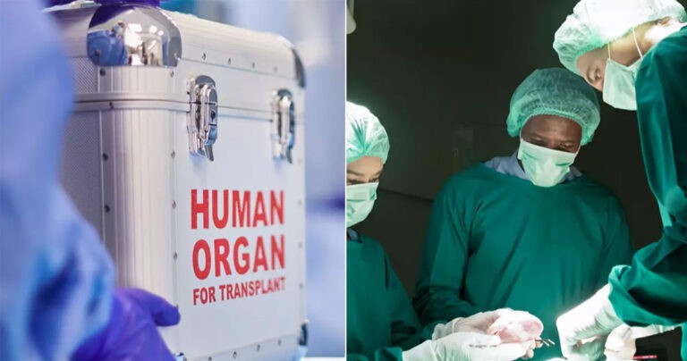 Penelitian yang Mengerikan Mengklaim Pasien Transplantasi Organ Dapat Mewarisi Ingatan dan Kepribadian Donor