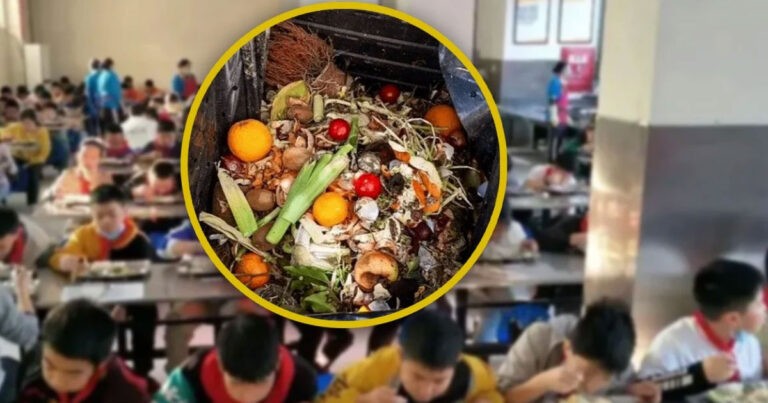 Sekolah di Tiongkok Diselidiki Karena Memberi Makan Murid-murid yang Lebih Muda dengan Makanan Sisa yang Diperuntukkan untuk Anjing