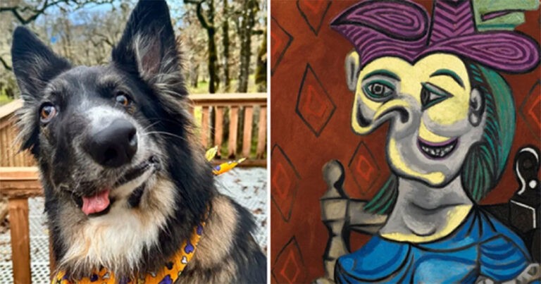 Temui Brodie: Anjing Menggemaskan yang Mirip Lukisan Picasso