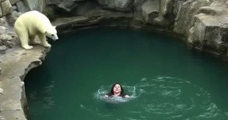 8 Momen Mengejutkan Saat Orang Melakukan Hal yang Konyol di Kebun Binatang