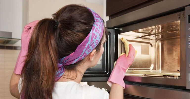Ilmuwan Menemukan Microwaves Merupakan Rumah bagi Segerombolan Bakteri yang Tahan Radiasi