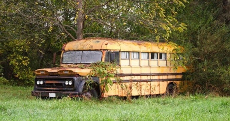 “Dia” Sudah Berada di Sana Jauh Lebih Awal dari Leluhurnya, Misteri Bus Sekolah di Hutan