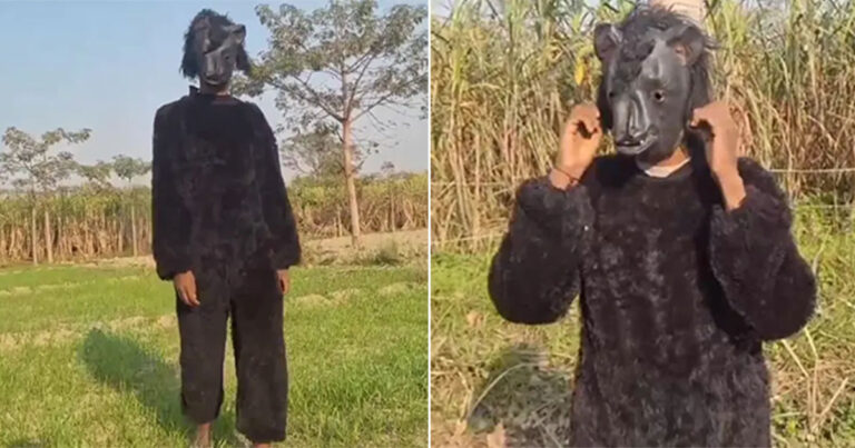 Petani di India yang Merasa Jengkel Mulai Mengenakan Kostum Beruang untuk Melindungi Tanaman dari Monyet