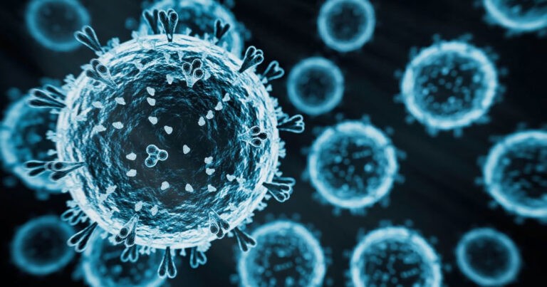 Wabah Flu Burung H5N1 yang Sangat Mematikan: Pakar Ungkap Beijing  Sembunyikan Fakta