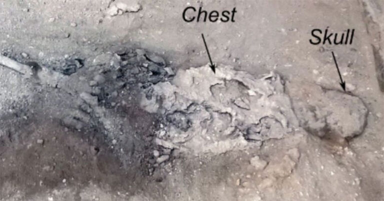 Letusan Gunung Vesuvius Mengubah Otak Korban Menjadi Kaca, Begini Caranya