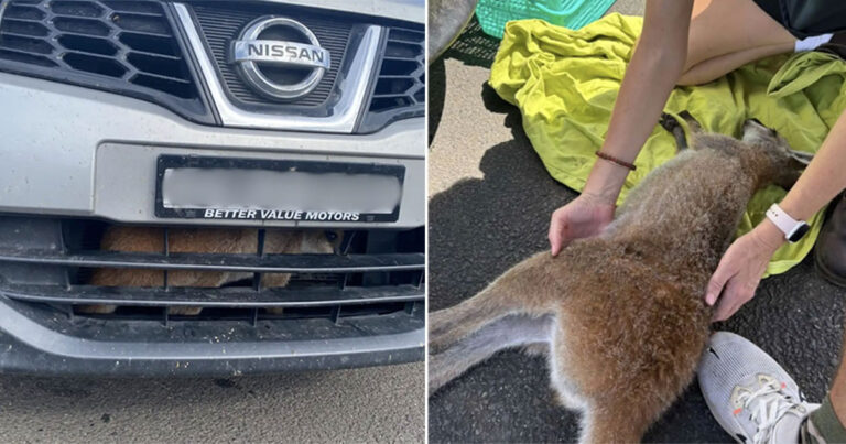 Orang-orang Berkumpul di Sekitar Mobil Saat Melihat Sesosok Terjebak di Kisi-kisi Mobil