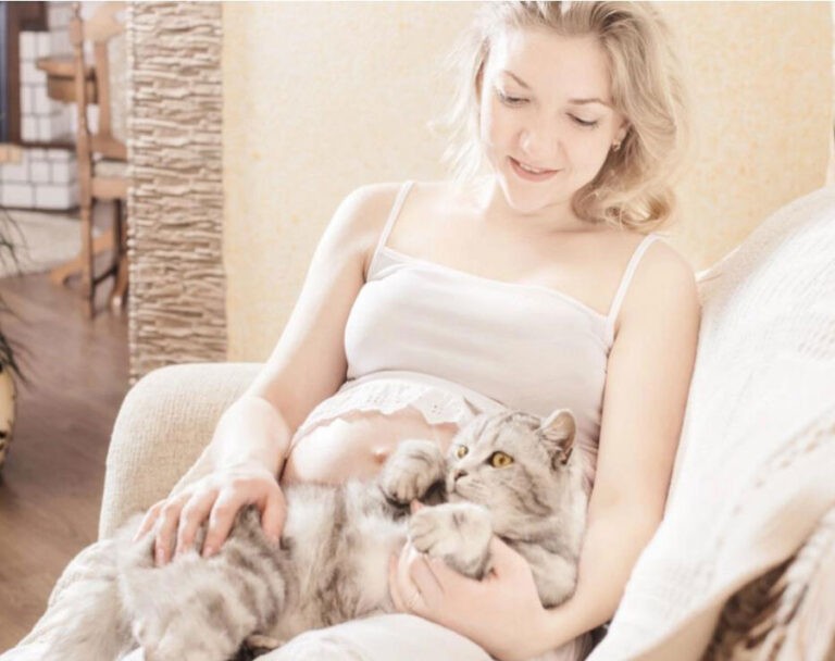 Saat Hamil, Pelihara Kucing, tetapi Hindari Toksoplasmosis