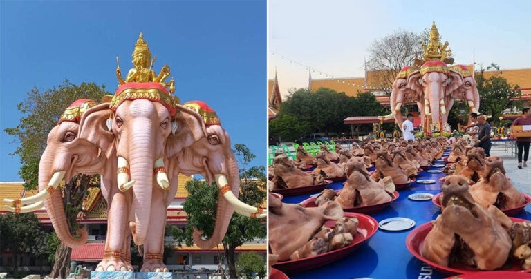 Pria Taiwan Mempersembahkan 100 Kepala Babi kepada Buddha Berwajah Empat di Thailand Setelah Memenangkan Lotere