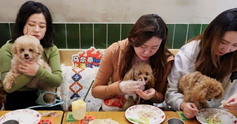 Restoran di Shanghai Rayakan Tahun Baru Imlek dengan Makan Malam Khusus Anjing