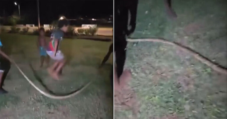 Anak-anak di Australia Menggunakan Ular Mati untuk Permainan Lompat Tali dalam Video Viral, Penyelidikan Diluncurkan