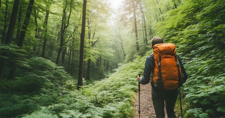GPS dan Kompas Tidak Berfungsi: Fenomena Aneh di Hutan Virginia