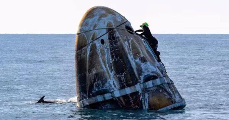 Video: Lumba-lumba Mengelilingi Kapsul SpaceX Saat Sunita Williams dan Tiga Astronot Kembali ke Bumi