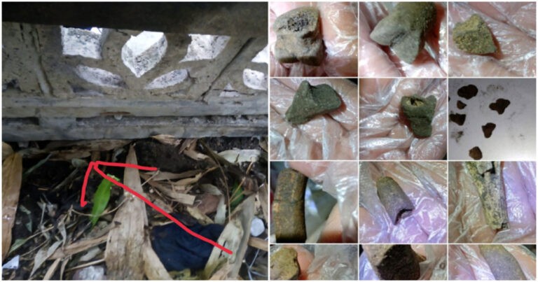 Penulis Guilin Tuduh  Organ Tubuh Mantan Saudara Iparnya Diambil, Potongan Tubuh Ditemukan di Kediaman Saudara Perempuannya yang Hilang