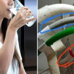 Wanita-di-Tiongkok-Minum-‘Air-Limbah’