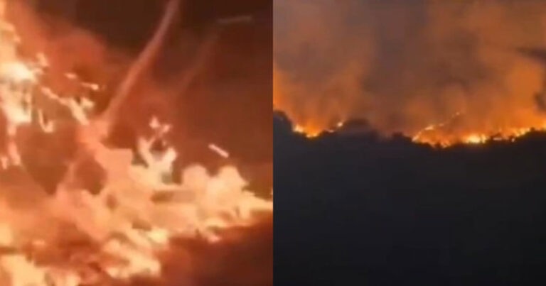 Beberapa Wilayah di Korsel Dinyatakan dalam Keadaan Bencana, Kebakaran Hutan Menyebar dan Memakan Korban Jiwa