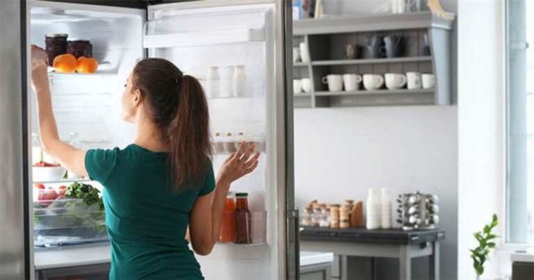 Bahaya Tersembunyi di Dapur: Kulkas Ternyata Tempat Kedua Paling Kotor di Rumah dan Menyimpan Bakteri Mematikan